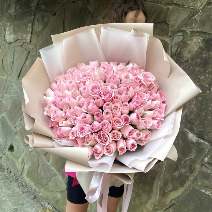 101 нежно-розовая роза Каролина  в Костроме