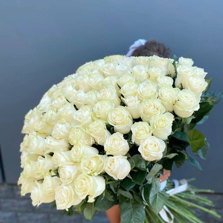 101 белая высокая роза в Костроме