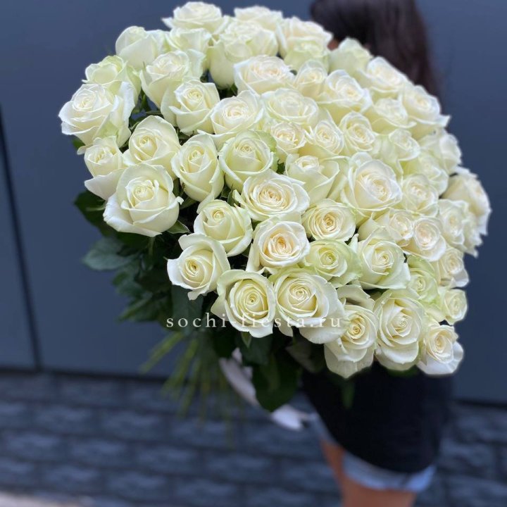 51 белоснежная высокая роза в Костроме