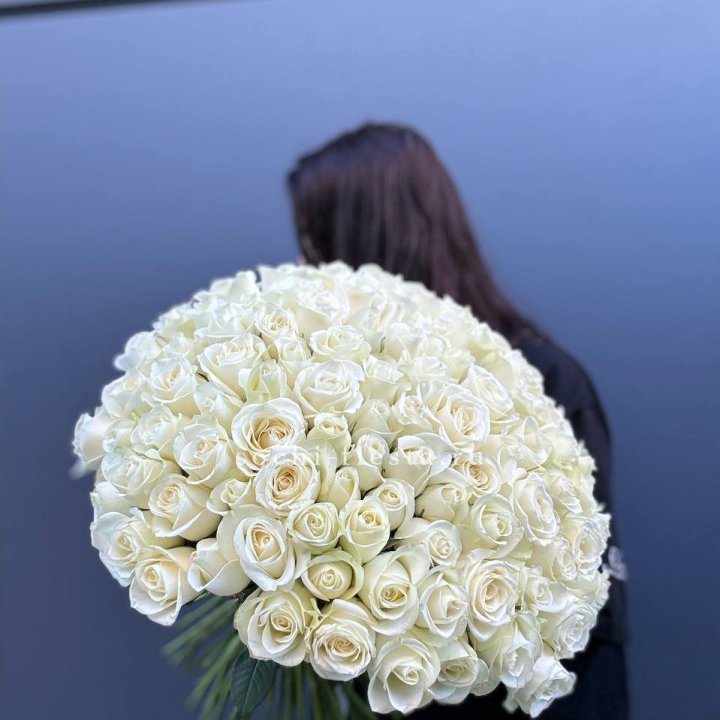 Охапка из 101 белой розы  в Костроме