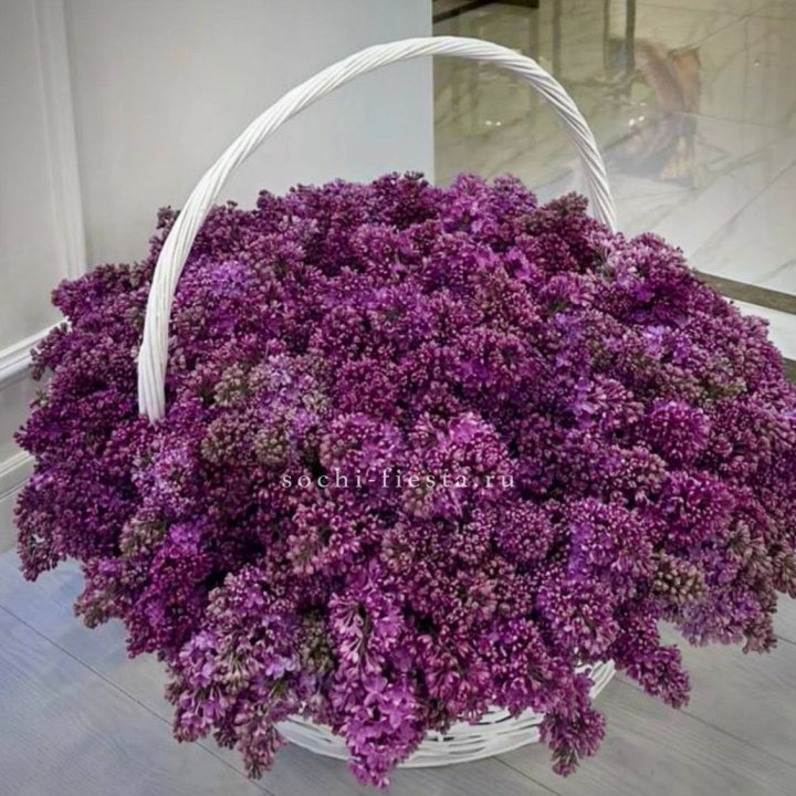Корзина сирени в Костроме