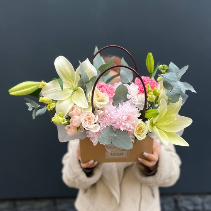  Сумочка "Полумесяц" в Костроме