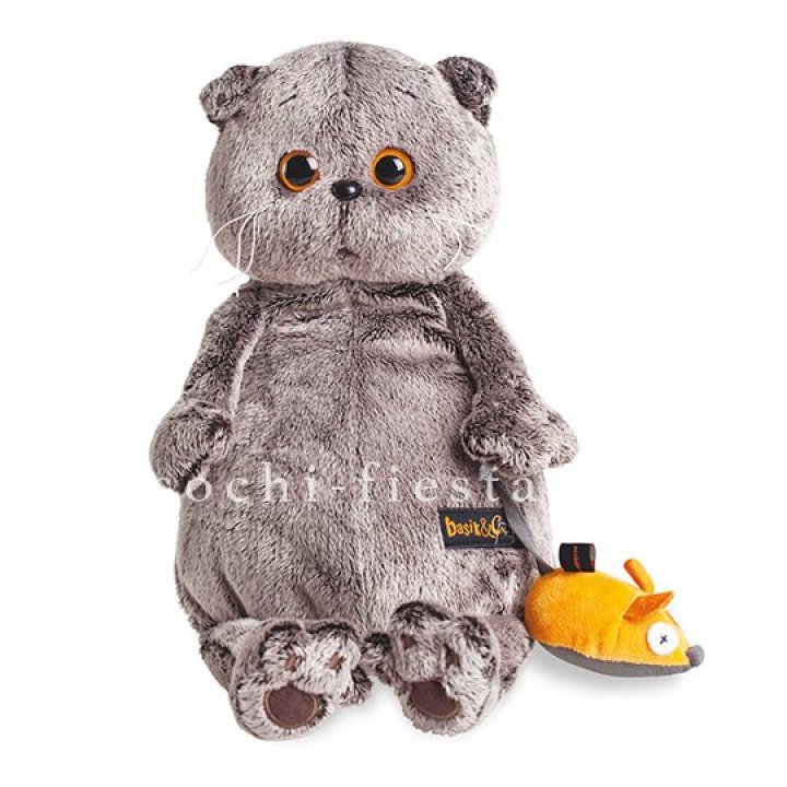 Кот Басик с мышкой в Костроме