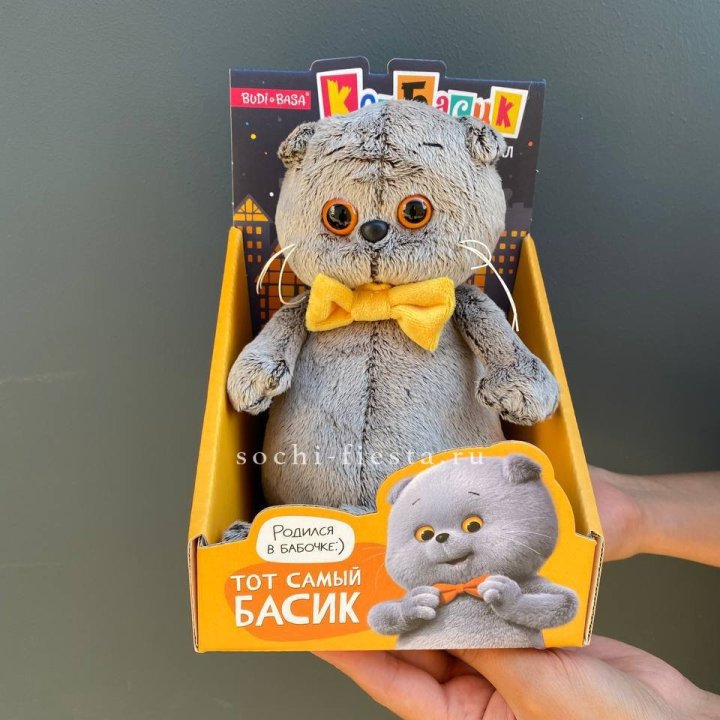 Кот Басик с бабочкой в Костроме