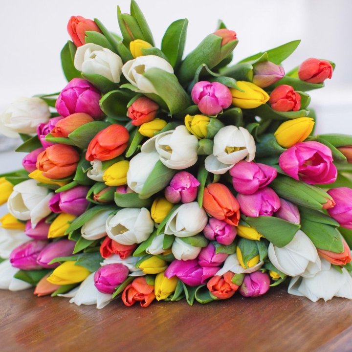 79 тюльпанов "Рандом" в Костроме