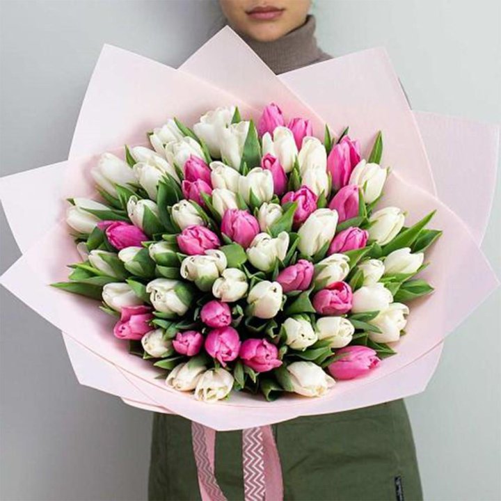 61 бело-розовый тюльпан в Костроме