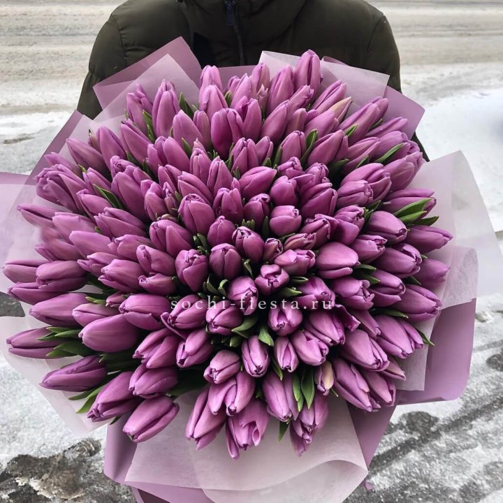101 сиреневый тюльпан в Костроме