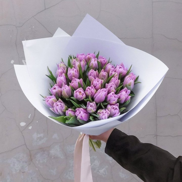 35 сиреневых тюльпанов в Костроме