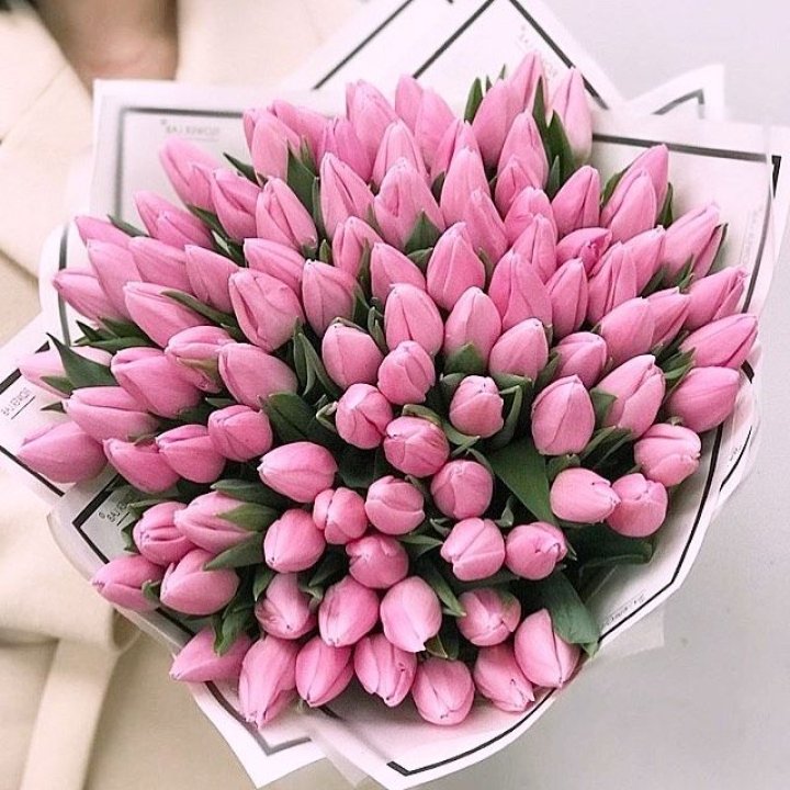 101 розовый тюльпан в белом в Костроме