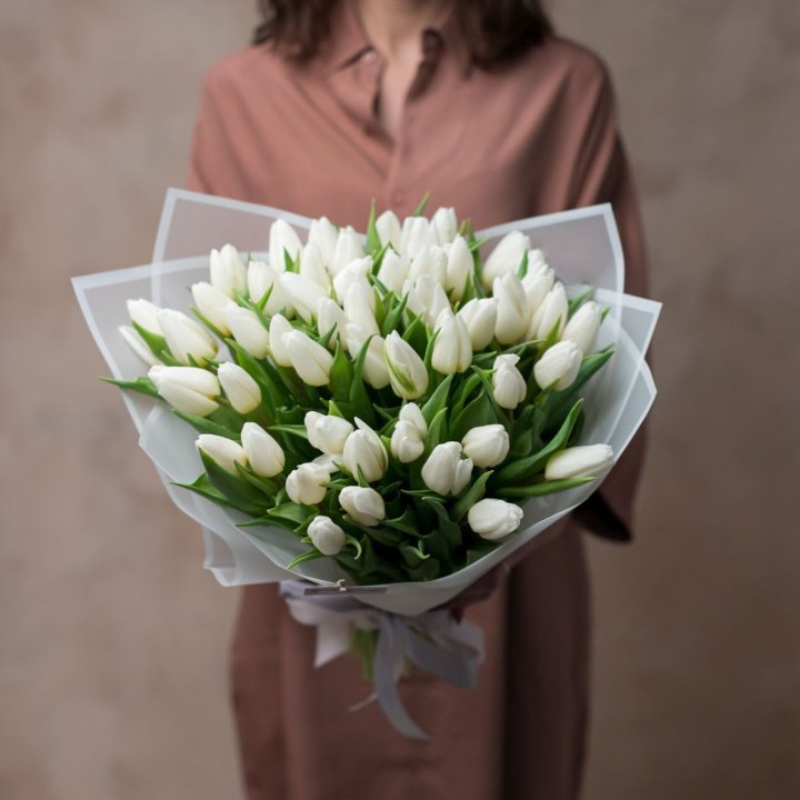 51 белый тюльпан в Костроме