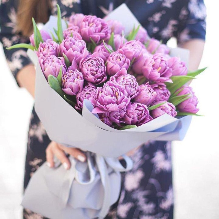 Тюльпаны "Пионс" в Костроме