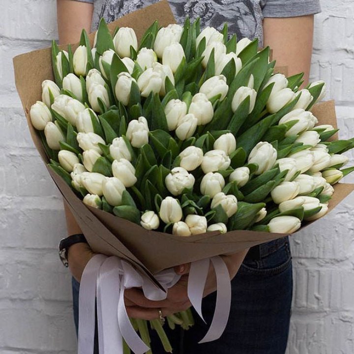 101 тюльпан сноу в Костроме