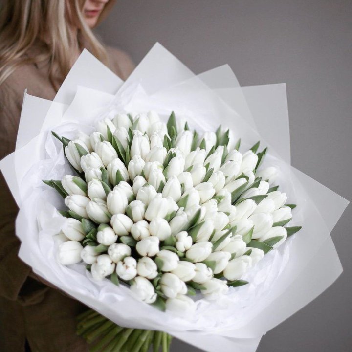 101 белый тюльпан в Костроме