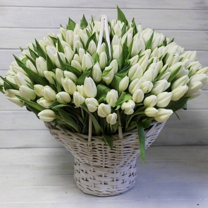 Корзина из 151 тюльпана в Костроме