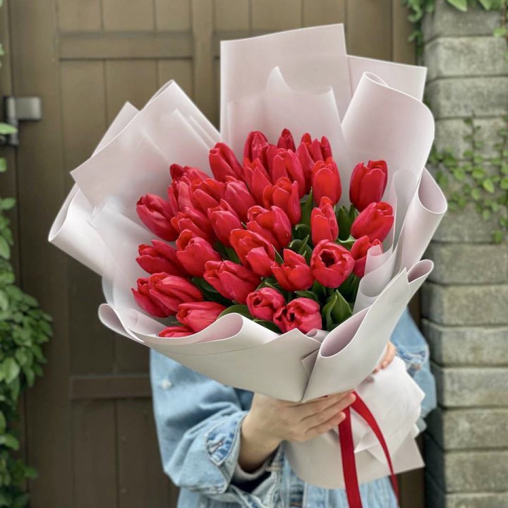 35 красных тюльпанов в Костроме