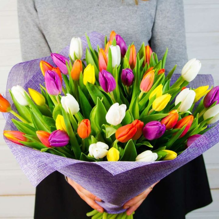 51 тюльпан "Рандом" №2 в Костроме